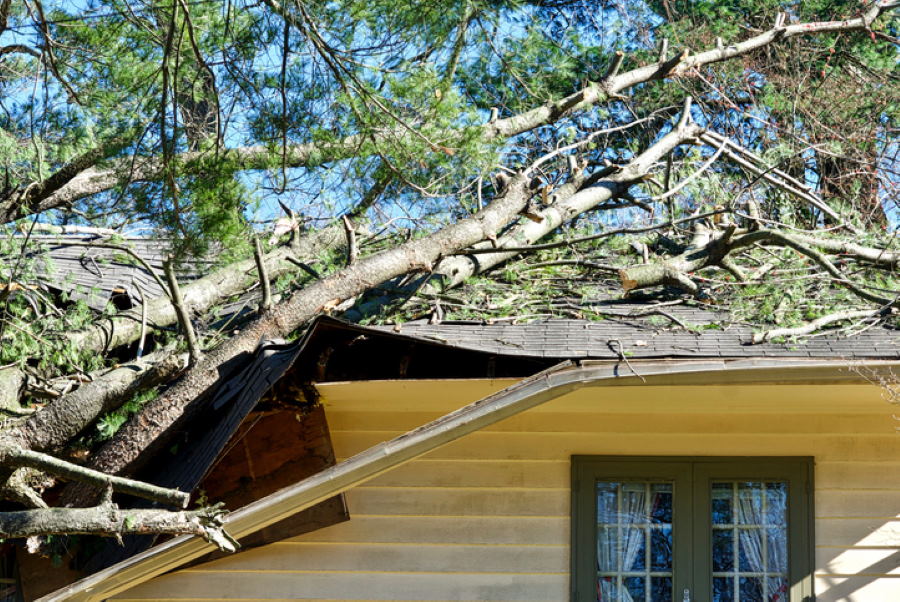 Storm Damage by JDM Repairs & Renovations